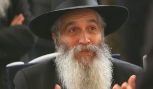 rabbi david